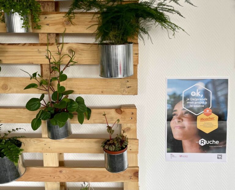 La Ruche Strasbourg, dernière née du réseau 28 Image diOS 24 2048x1660 1