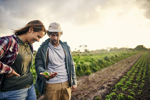 6 projets d'agriculture durable