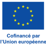 Logo FSE fond transparent