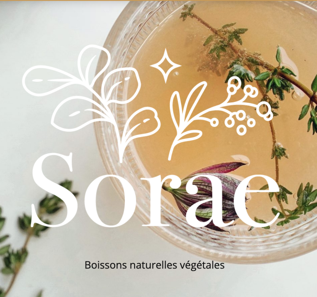 Sorae : L’art de concilier expertise botanique et entrepreneuriat engagé 1 Découvrez l'univers de Sorae